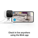 Blink Mini – Compact indoor plug-in smart security camera, 1080p HD video, night vision, motion detection, two-way audio, easy set up, Works with Alexa – 3 cameras (Black) Black Camera Only