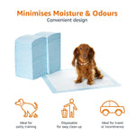 Amazon Basics Dog and Puppy Pee Pads with Leak-Proof Quick-Dry Design for Potty Training, Standard Absorbency, Regular Size, 22 x 22 Inches, Pack of 100, Blue & White Unscented Regular (100 Count)