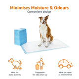 Amazon Basics Dog and Puppy Pee Pads with Leak-Proof Quick-Dry Design for Potty Training, Standard Absorbency, Regular Size, 22 x 22 Inches, Pack of 100, Blue & White Unscented Regular (100 Count)
