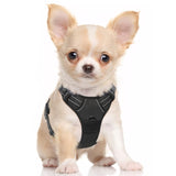 rabbitgoo Dog Harness, No-Pull Pet Harness with 2 Leash Clips, Adjustable Soft Padded Dog Vest, Reflective No-Choke Pet Oxford Vest with Easy Control Handle for Large Dogs, Black, L