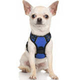 rabbitgoo Dog Harness, No-Pull Pet Harness with 2 Leash Clips, Adjustable Soft Padded Dog Vest, Reflective No-Choke Pet Oxford Vest with Easy Control Handle for Large Dogs, Black, L