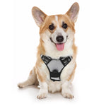 rabbitgoo Dog Harness, No-Pull Pet Harness with 2 Leash Clips, Adjustable Soft Padded Dog Vest, Reflective No-Choke Pet Oxford Vest with Easy Control Handle for Large Dogs, Black, L