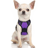 rabbitgoo Dog Harness, No-Pull Pet Harness with 2 Leash Clips, Adjustable Soft Padded Dog Vest, Reflective No-Choke Pet Oxford Vest with Easy Control Handle for Large Dogs, Black, L