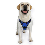 rabbitgoo Dog Harness, No-Pull Pet Harness with 2 Leash Clips, Adjustable Soft Padded Dog Vest, Reflective No-Choke Pet Oxford Vest with Easy Control Handle for Large Dogs, Black, L