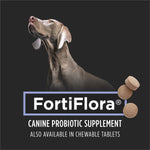 Purina Fortiflora Probiotics for Dogs, Pro Plan Veterinary Supplements Powder Probiotic Dog Supplement ,30 Count (Pack of 1) Powder Sachets 30 Count (Pack of 1)