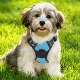 rabbitgoo Dog Harness, No-Pull Pet Harness with 2 Leash Clips, Adjustable Soft Padded Dog Vest, Reflective No-Choke Pet Oxford Vest with Easy Control Handle for Large Dogs, Black, L