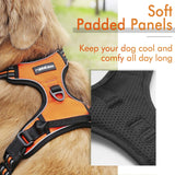 rabbitgoo Dog Harness, No-Pull Pet Harness with 2 Leash Clips, Adjustable Soft Padded Dog Vest, Reflective No-Choke Pet Oxford Vest with Easy Control Handle for Large Dogs, Black, L