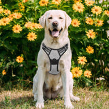 rabbitgoo Dog Harness, No-Pull Pet Harness with 2 Leash Clips, Adjustable Soft Padded Dog Vest, Reflective No-Choke Pet Oxford Vest with Easy Control Handle for Large Dogs, Black, L