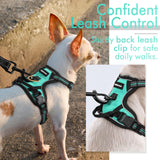 rabbitgoo Dog Harness, No-Pull Pet Harness with 2 Leash Clips, Adjustable Soft Padded Dog Vest, Reflective No-Choke Pet Oxford Vest with Easy Control Handle for Large Dogs, Black, L