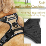 rabbitgoo Dog Harness, No-Pull Pet Harness with 2 Leash Clips, Adjustable Soft Padded Dog Vest, Reflective No-Choke Pet Oxford Vest with Easy Control Handle for Large Dogs, Black, L